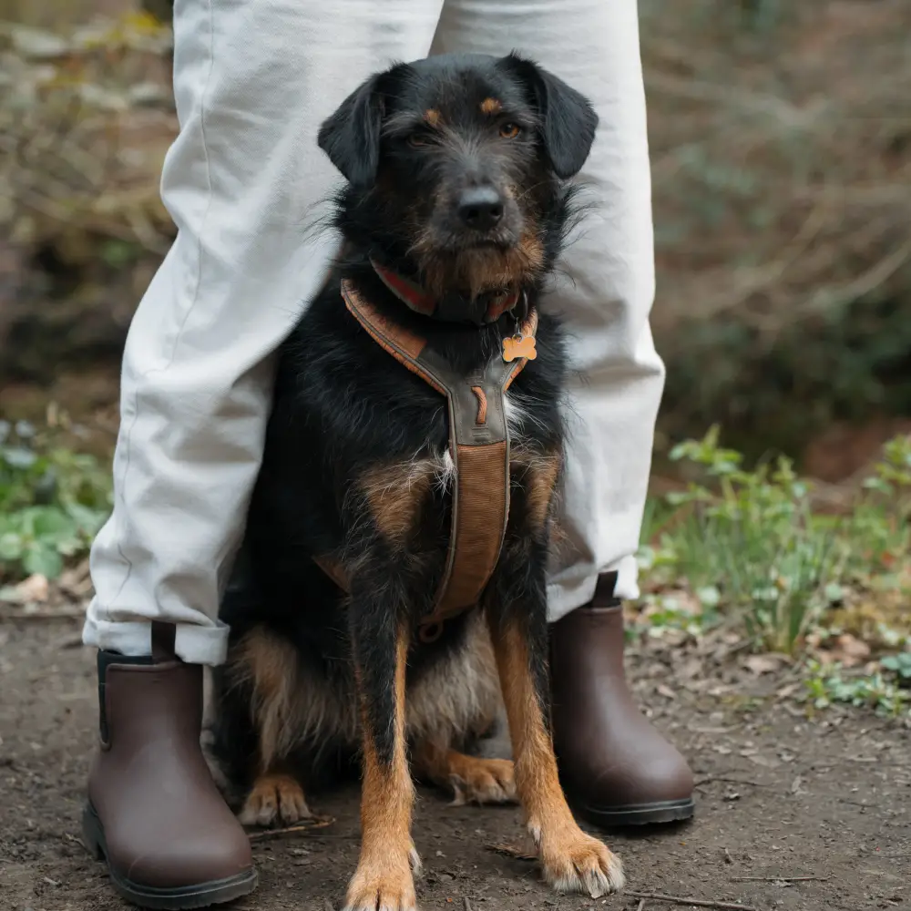 Bobbi Wellington Boot // Chocolate & Black [Retired] - Image 10