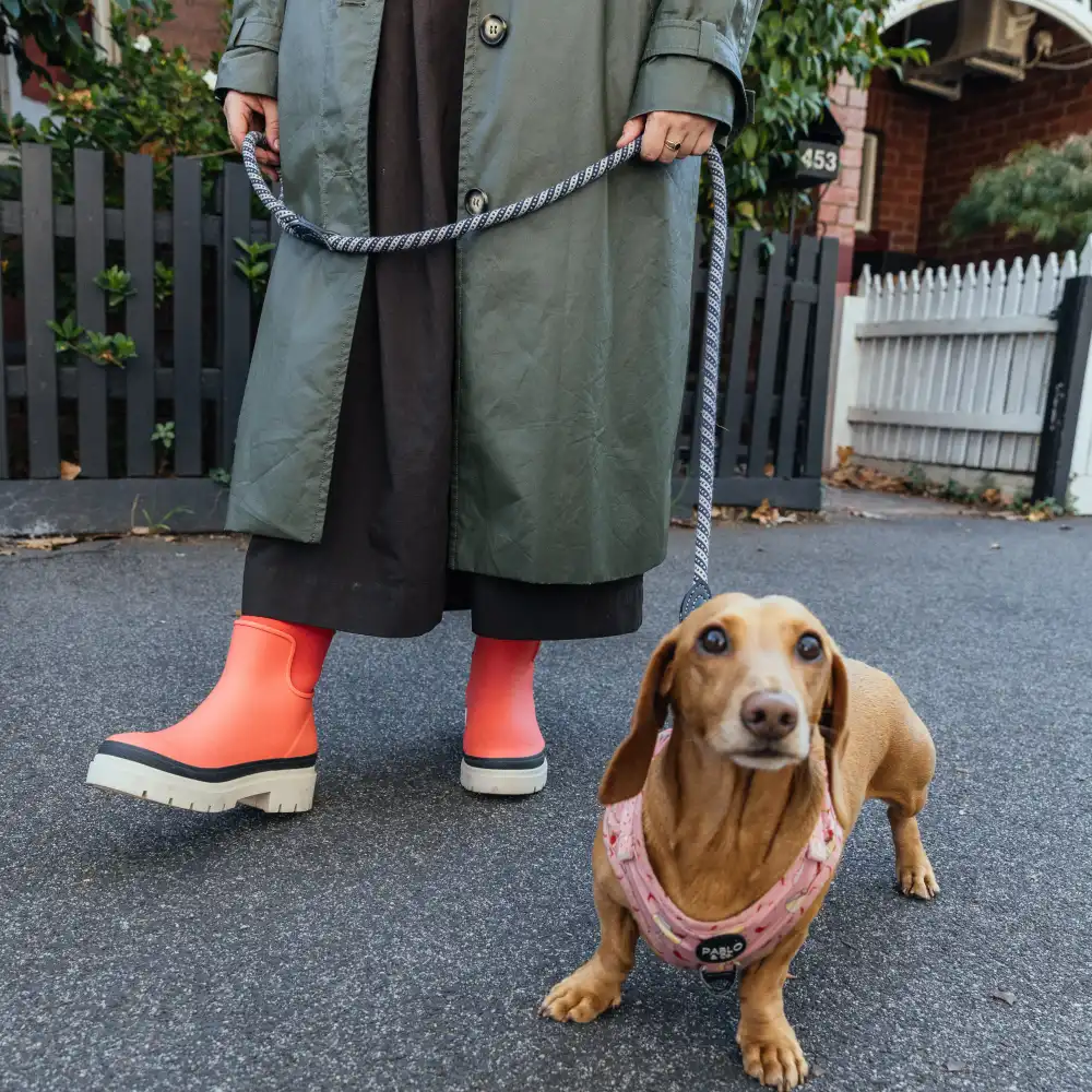 Tully Boot // Coral [Retired] - Image 12